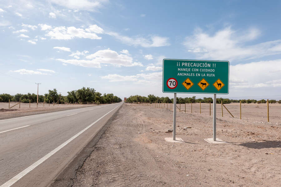 7035285931955759_p1232199.jpg
