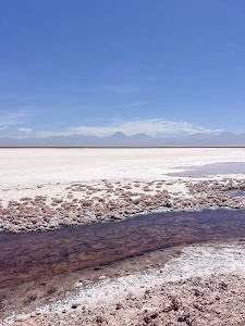 3861585028721293_img_4693.jpg