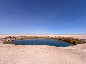 4568640197685565_img_4668.jpg