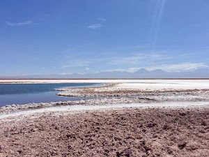 46456602608999775_img_4686.jpg