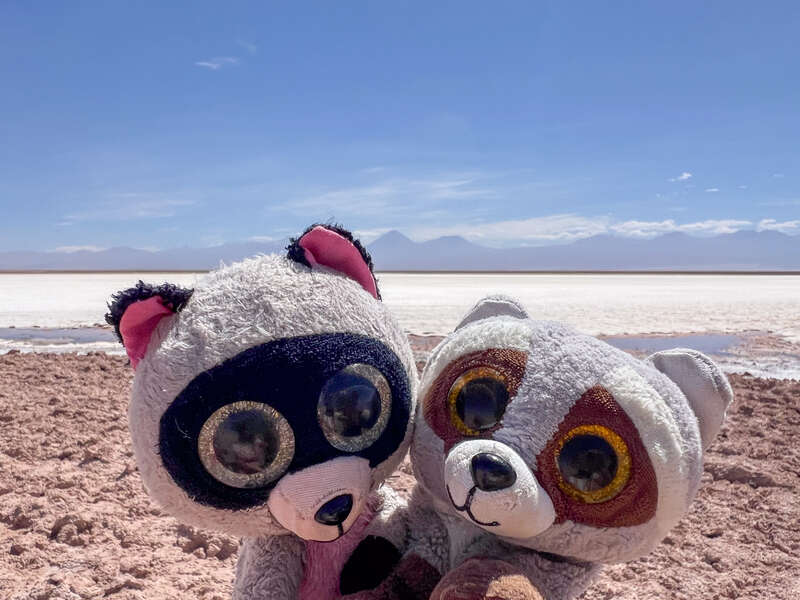 6014517887119948_img_4680.jpg