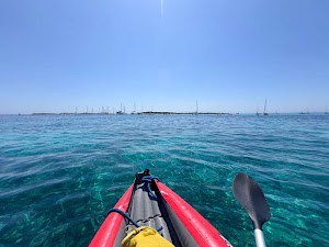 1370784778520182_img_6324.jpg