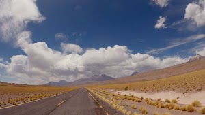 gettyimages-2199839669-jpg-600-esp-transient.jpg