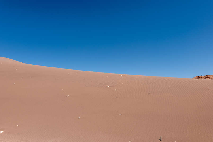 95026607951581_p1242516.jpg