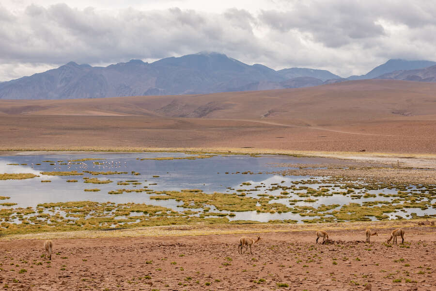 32942617333221236_p1243124.jpg