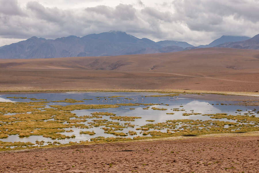 41286558735349654_p1243118.jpg