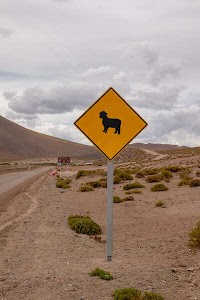 4293465447969167_p1243180.jpg