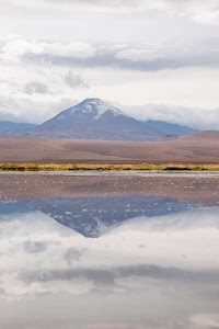 47688252424312894_p1243072.jpg