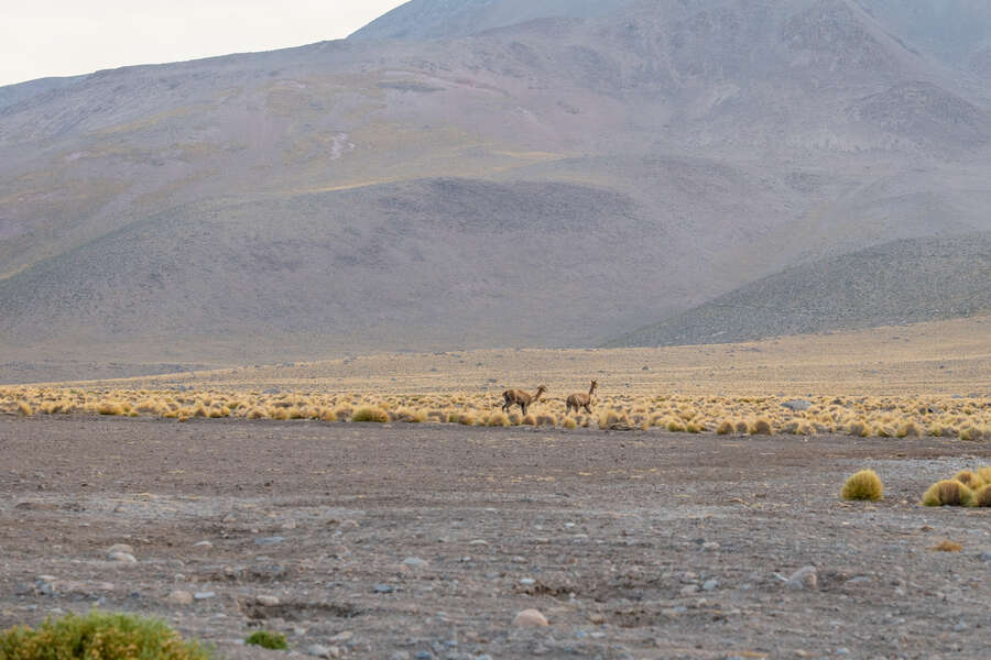 7379949076775321_p1242652.jpg
