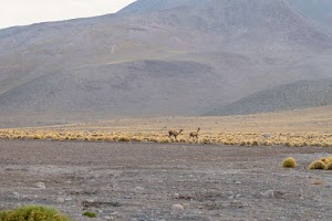 7379949076775321_p1242652.jpg