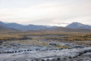 7910132263145373_p1242624.jpg