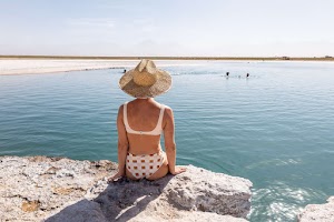 5951215110866448_p1253786.jpg