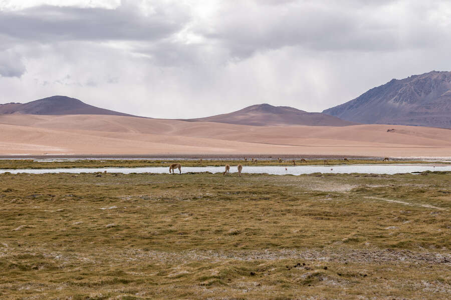 5417660675675995_p1253769.jpg
