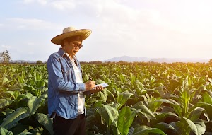 farm.jpeg