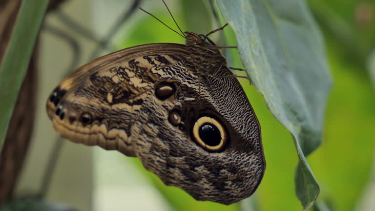gettyimages-2203136131-jpg-600-esp-transient.jpg