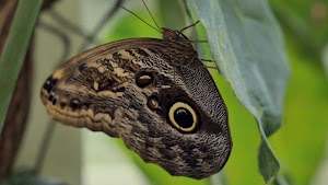 gettyimages-2203136131-jpg-600-esp-transient.jpg