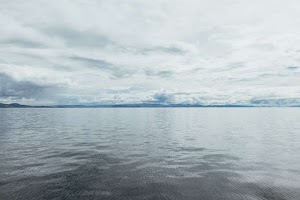 44716295548005025_p1265853.jpg
