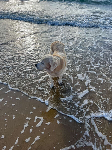 4174264010485056_img_3910.jpg