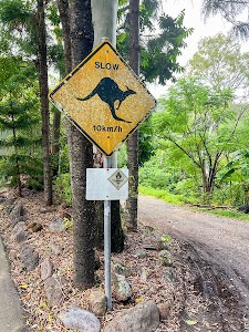 6851841005116555_img_3837.jpg