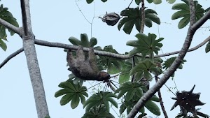 gettyimages-2204239204-jpg-600-esp-transient.jpg