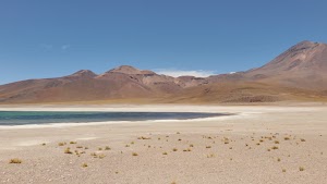gettyimages-2205576230-jpg-600-esp-transient.jpg