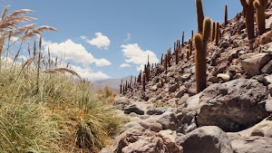 gettyimages-2205651469-jpg-600-esp-transient.jpg