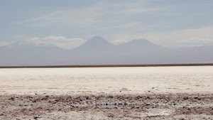 gettyimages-2205673290-jpg-600-esp-transient.jpg