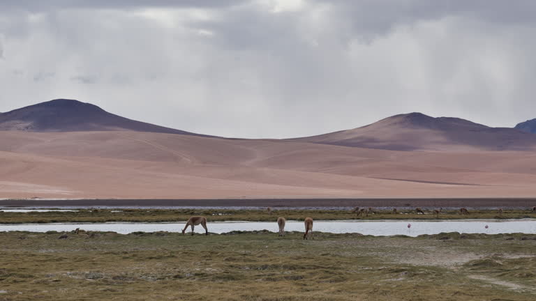gettyimages-2205677803-jpg-600-esp-transient.jpg