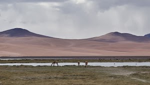 gettyimages-2205677803-jpg-600-esp-transient.jpg