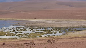 gettyimages-2205694820-jpg-600-esp-transient.jpg