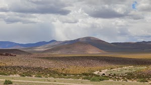 gettyimages-2206653077-jpg-600-esp-transient.jpg