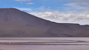 gettyimages-2206650120-jpg-600-esp-transient.jpg