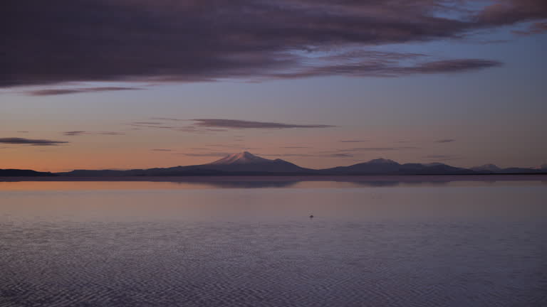 gettyimages-2206969828-jpg-600-esp-transient.jpg