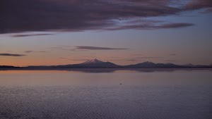 gettyimages-2206969828-jpg-600-esp-transient.jpg