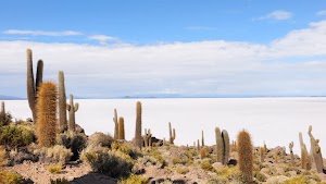 gettyimages-2206977350-jpg-600-esp-transient.jpg