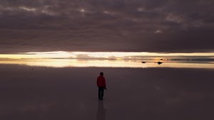 gettyimages-2206979508-jpg-600-esp-transient.jpg