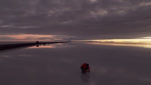 gettyimages-2206981207-jpg-600-esp-transient.jpg