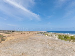 8288885467271916_dji_20250307165348_0061_d.jpg