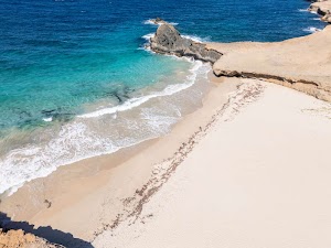 067729092038183_dji_20250310202914_0124_d.jpg