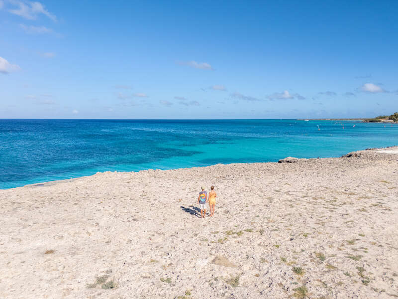 07293042940905892_dji_20250310141853_0086_d.jpg