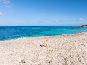 07293042940905892_dji_20250310141853_0086_d.jpg