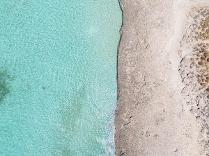 07488580872978101_dji_20250310172243_0122_d.jpg