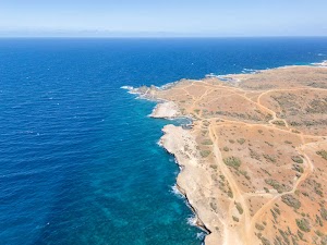 11237173372155063_dji_20250310203201_0134_d.jpg