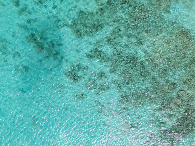4713844552553432_dji_20250310171822_0104_d.jpg