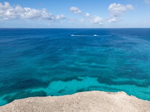 6770593266175815_dji_20250310141301_0066_d.jpg