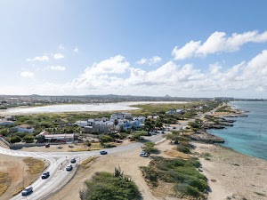 8141895244426189_dji_20250310141241_0064_d.jpg