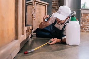 pest-control-worker-lying-on-floor-and-spraying-pe-2024-11-17-16-37-59-utc.jpg