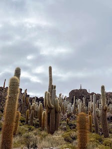 8700954562829768_img_5205.jpg