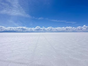 9953100117835694_img_5353.jpg