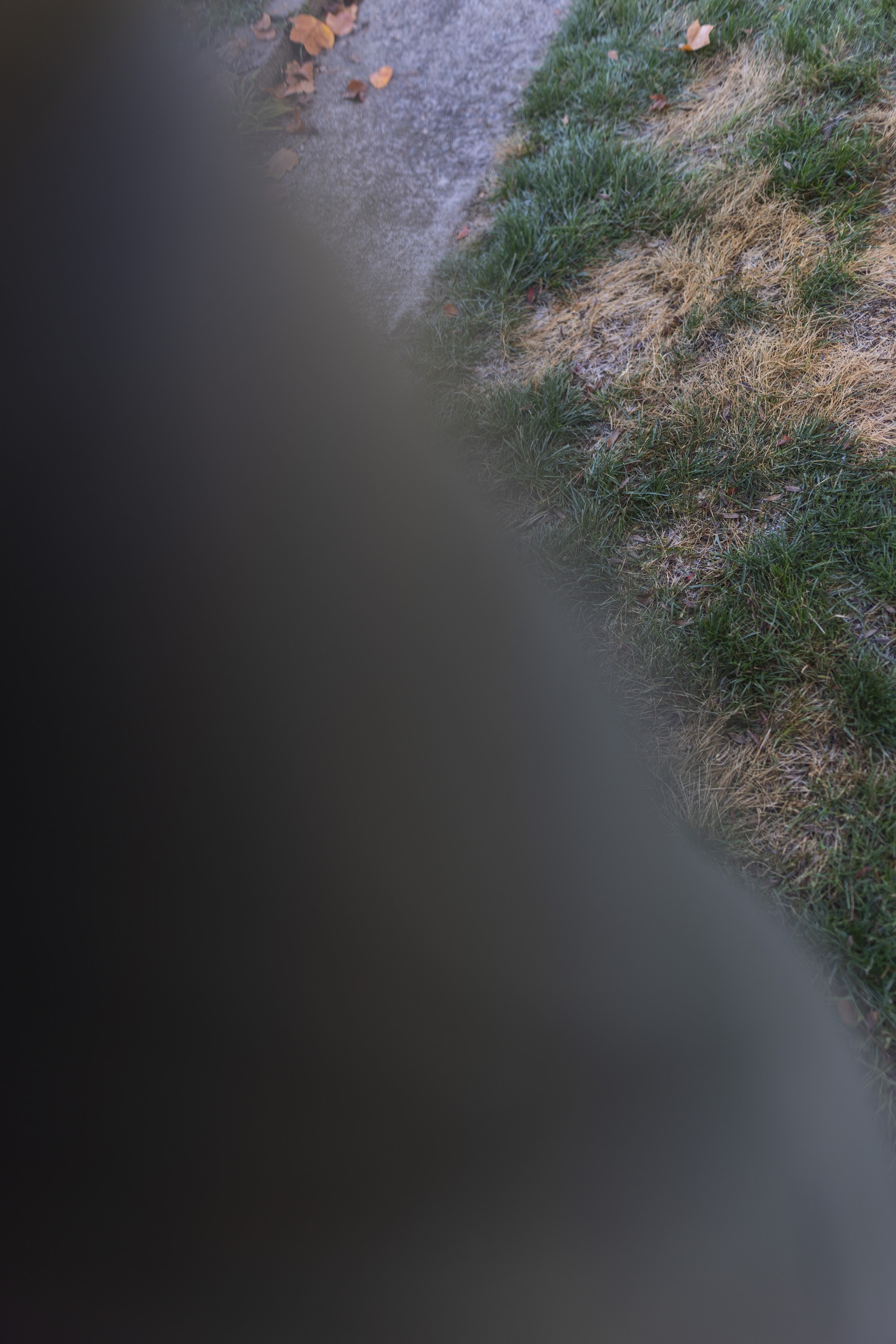 211A2183.jpg